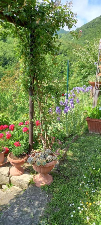 Ca D' Fefi Bed and Breakfast Gorzegno Buitenkant foto